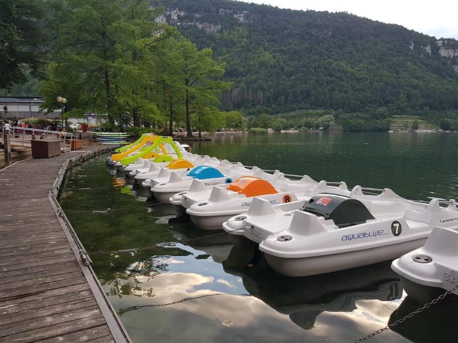 Joli Appartement En Face De Lac Нантюа Екстериор снимка