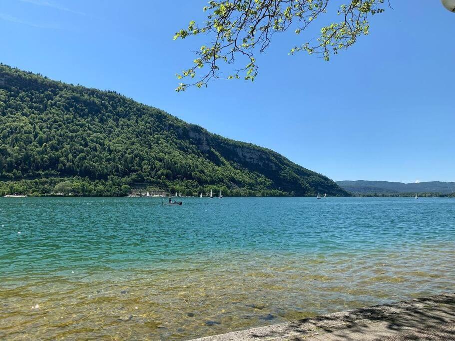 Joli Appartement En Face De Lac Нантюа Екстериор снимка
