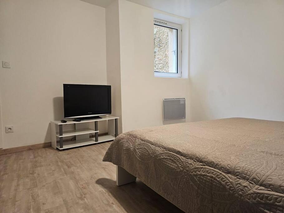 Joli Appartement En Face De Lac Нантюа Екстериор снимка