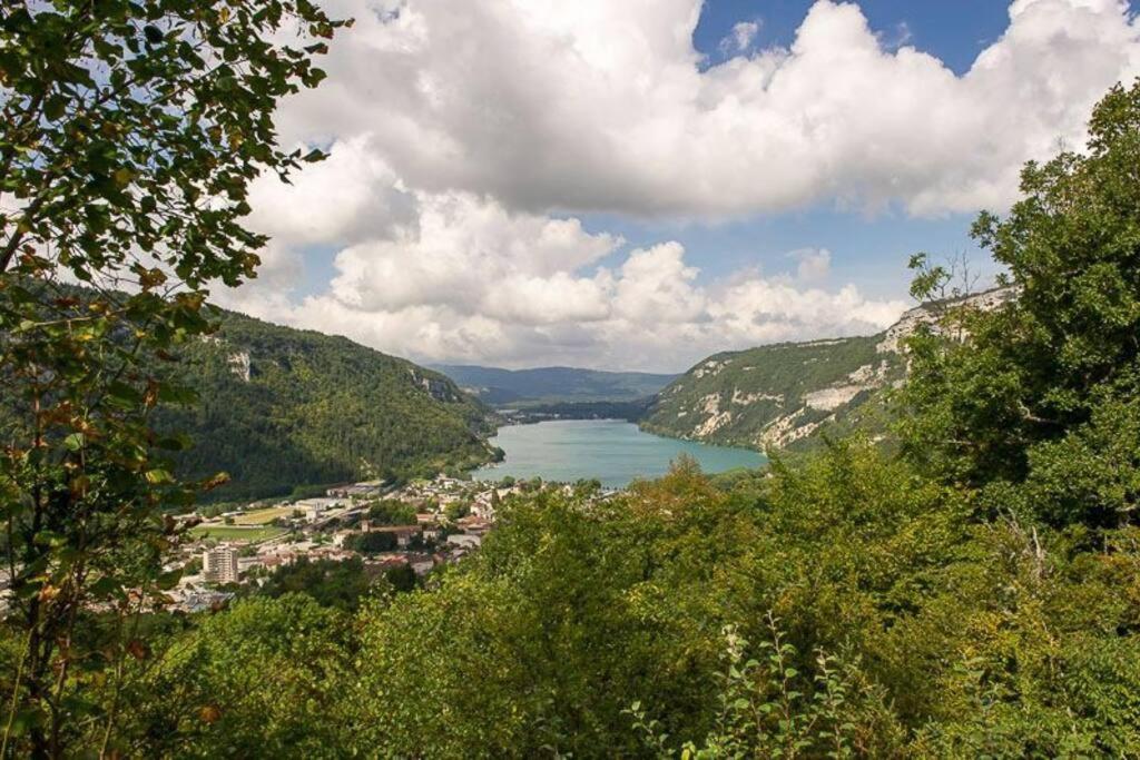 Joli Appartement En Face De Lac Нантюа Екстериор снимка